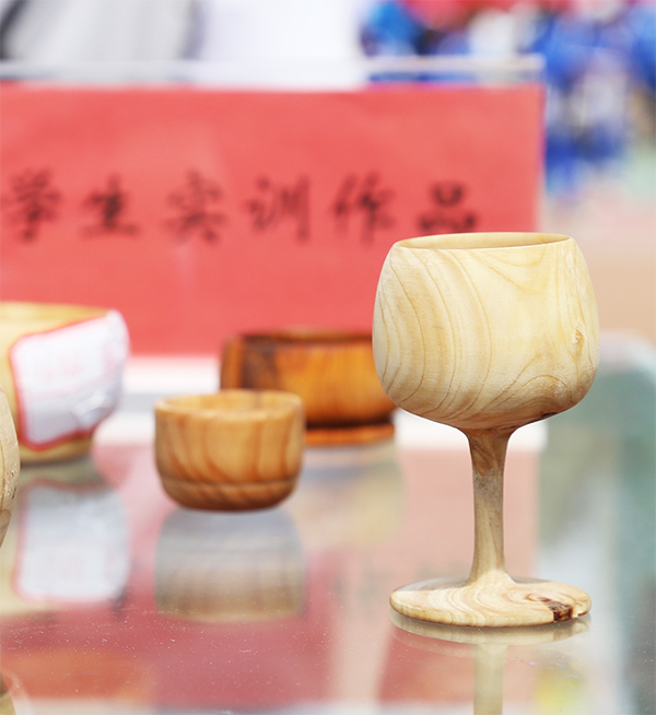 數(shù)控技術(shù)應用與加工專業(yè)